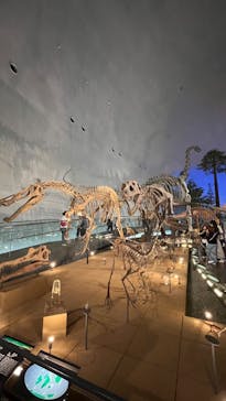 福井県立恐竜博物館に投稿された画像（2023/9/18）