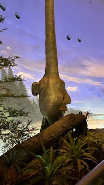 福井県立恐竜博物館に投稿された画像（2023/9/18）