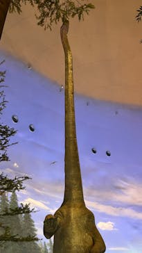 福井県立恐竜博物館に投稿された画像（2023/9/18）