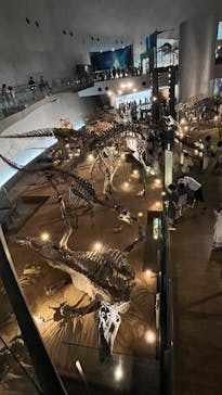福井県立恐竜博物館に投稿された画像（2023/9/18）
