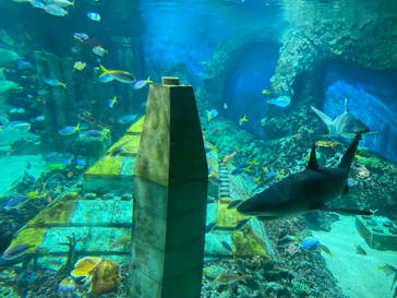 レゴランドⓇ・ジャパン・リゾートに投稿された画像（2023/9/18）