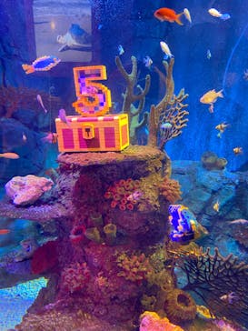 レゴランドⓇ・ジャパン・リゾートに投稿された画像（2023/9/18）