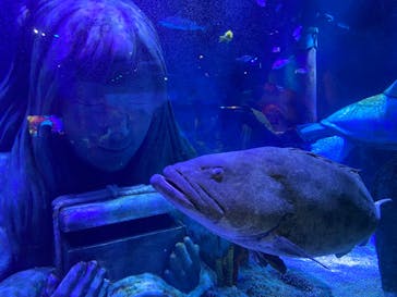 レゴランドⓇ・ジャパン・リゾートに投稿された画像（2023/9/18）