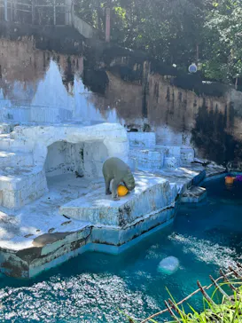 天王寺動物園に投稿された画像（2023/9/18）