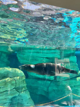 天王寺動物園に投稿された画像（2023/9/18）
