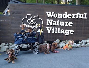 わんダフルネイチャーヴィレッジに投稿された画像（2023/9/18）