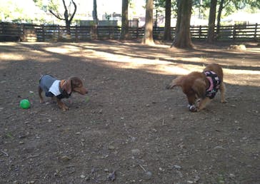 わんダフルネイチャーヴィレッジに投稿された画像（2023/9/18）