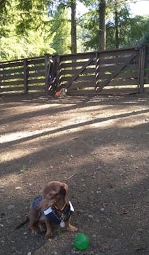 わんダフルネイチャーヴィレッジに投稿された画像（2023/9/18）