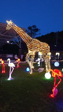 静岡市立日本平動物園に投稿された画像（2023/9/18）