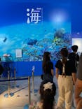 特別展「海　―生命のみなもと―」（国立科学博物館）に投稿された画像（2023/9/18）