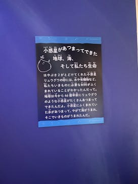 特別展「海　―生命のみなもと―」（国立科学博物館）に投稿された画像（2023/9/18）