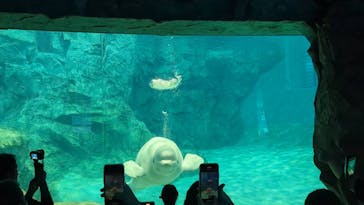名古屋港水族館に投稿された画像（2023/9/18）