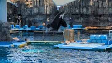 名古屋港水族館に投稿された画像（2023/9/18）