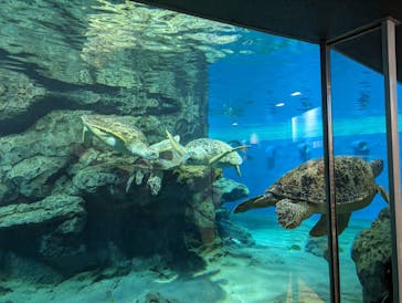 名古屋港水族館に投稿された画像（2023/9/18）