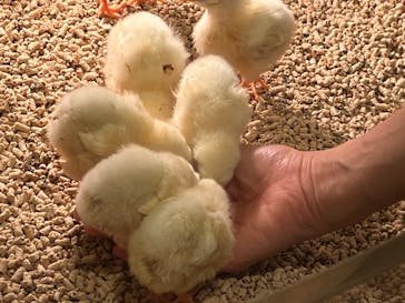 Moff animal cafe イオンモール幕張新都心店に投稿された画像（2023/9/18）