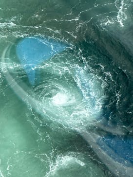 徳島県立 渦の道に投稿された画像（2023/9/18）