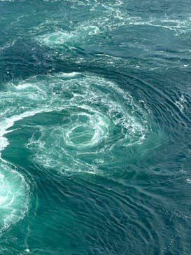 徳島県立 渦の道に投稿された画像（2023/9/18）