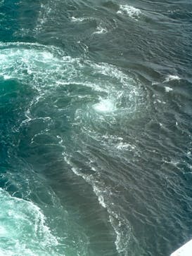 徳島県立 渦の道に投稿された画像（2023/9/18）