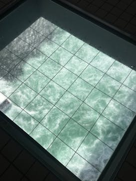 徳島県立 渦の道に投稿された画像（2023/9/18）