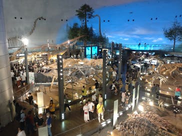 福井県立恐竜博物館に投稿された画像（2023/9/18）