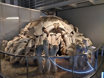 国立科学博物館に投稿された画像（2023/9/18）