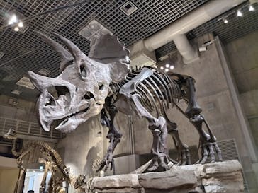 国立科学博物館に投稿された画像（2023/9/18）