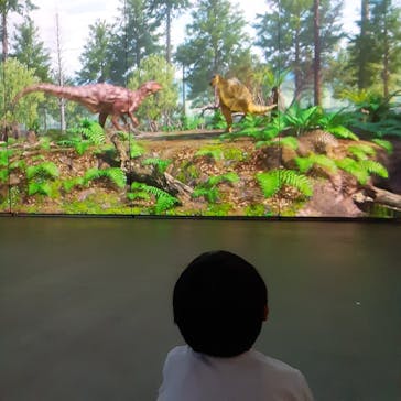 福井県立恐竜博物館に投稿された画像（2023/9/18）