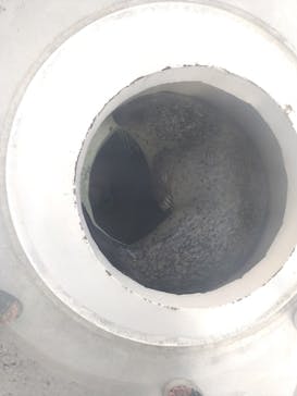 しながわ水族館に投稿された画像（2023/9/18）