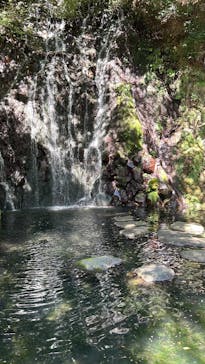 箱根湯本温泉 天成園に投稿された画像（2023/9/18）