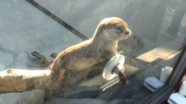 横浜・八景島シーパラダイスに投稿された画像（2023/9/18）