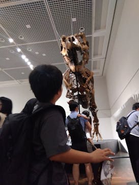 大阪市立自然史博物館に投稿された画像（2023/9/18）