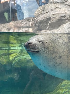 京都水族館×ニデック京都タワーに投稿された画像（2023/9/18）