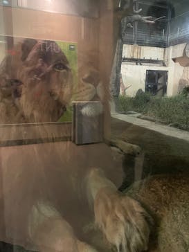 静岡市立日本平動物園に投稿された画像（2023/9/18）