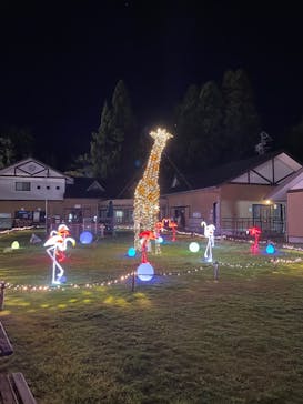 静岡市立日本平動物園に投稿された画像（2023/9/18）