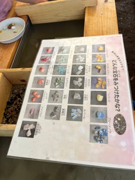 成田ゆめ牧場に投稿された画像（2023/9/19）