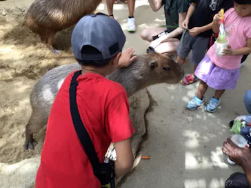 神戸どうぶつ王国に投稿された画像（2023/9/19）