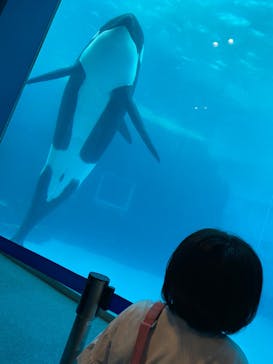 名古屋港水族館に投稿された画像（2023/9/19）
