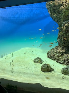 アクアワールド茨城県大洗水族館に投稿された画像（2023/9/19）