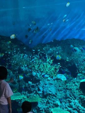 アクアワールド茨城県大洗水族館に投稿された画像（2023/9/19）