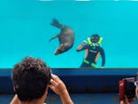 下田海中水族館に投稿された画像（2023/9/19）