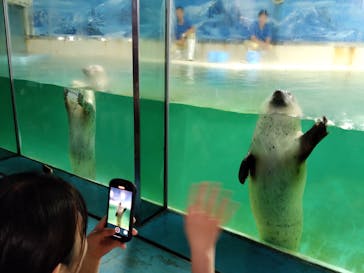 下田海中水族館に投稿された画像（2023/9/19）