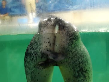 下田海中水族館に投稿された画像（2023/9/19）