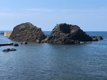 越前松島水族館に投稿された画像（2023/9/19）