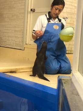 越前松島水族館に投稿された画像（2023/9/19）