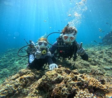 沖縄マリンサービス碧に投稿された画像（2023/9/19）