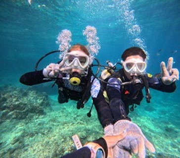 沖縄マリンサービス碧に投稿された画像（2023/9/19）