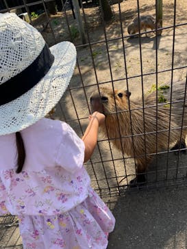 日立市かみね動物園に投稿された画像（2023/9/19）