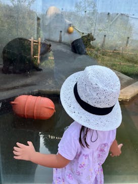 日立市かみね動物園に投稿された画像（2023/9/19）