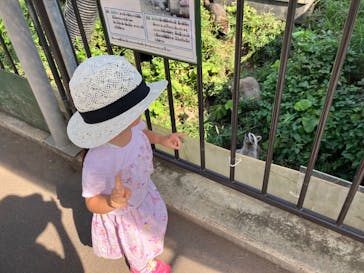 日立市かみね動物園に投稿された画像（2023/9/19）