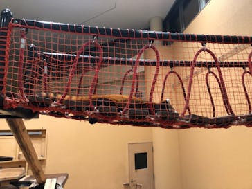 静岡市立日本平動物園に投稿された画像（2023/9/19）